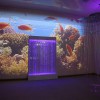 Проекционный дизайн "Виртуальная реальность" базовый комплект 500 анимаций - «globural.ru» - Краснокаменск