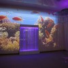 Проекционный дизайн "Виртуальная реальность" безлимитный комплект 1200 анимаций - «globural.ru» - Краснокаменск