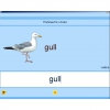 Английский язык. Освоение клавиатуры - «globural.ru» - Краснокаменск
