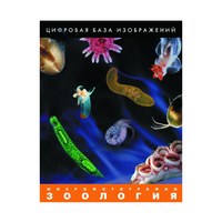 Зоология. Микрофотографии. (Цифровая база изображений) - «globural.ru» - Краснокаменск
