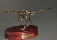 Модель скелета динозавра Velociraptor - «globural.ru» - Краснокаменск