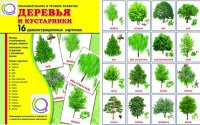 Демонстрационные карточки "Деревья и кустарники" - «globural.ru» - Краснокаменск
