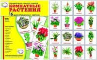 Демонстрационные карточки "Комнатные растения" - «globural.ru» - Краснокаменск