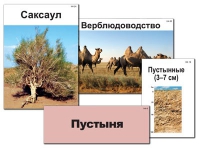Модель-аппликация "Природные зоны России" - «globural.ru» - Краснокаменск