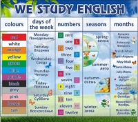 Стенд "We study english" - «globural.ru» - Краснокаменск