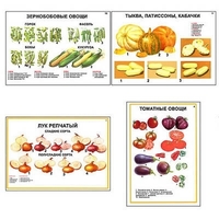 Плакаты ПРОФТЕХ "Ассортимент овощных культур" (12 пл, винил, 70х100) - «globural.ru» - Краснокаменск