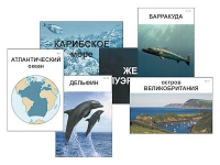 Модель-аппликация "Океаны. Знакомство" (ламинированная) - «globural.ru» - Краснокаменск