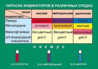 Таблица Окраска индикаторов в различных средах (винил) - «globural.ru» - Краснокаменск