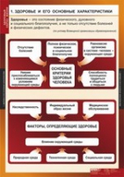 ОБЖ Здоровый образ жизни (комплект таблиц) - «globural.ru» - Краснокаменск