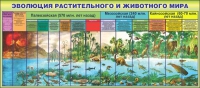Стенд "Эволюция растительного и животного мира" - «globural.ru» - Краснокаменск