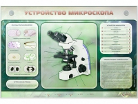 Электрифицированный стенд "Устройство микроскопа и правила работы c ним" - «globural.ru» - Краснокаменск