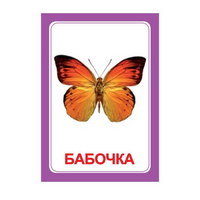 Логопедка "Ч" (логопедические карточки) - «globural.ru» - Краснокаменск