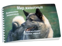 Пособие для слабовидящих "Домашние животные" - «globural.ru» - Краснокаменск