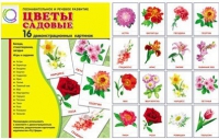 Демонстрационные карточки "Цветы садовые" - «globural.ru» - Краснокаменск