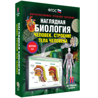 Наглядная биология. Человек. Строение тела человека - «globural.ru» - Краснокаменск