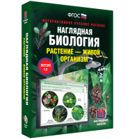 Наглядная биология. Растение - живой организм - «globural.ru» - Краснокаменск