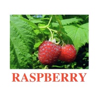 "Berries-1" ("Ягоды-1") английские карточки Домана - «globural.ru» - Краснокаменск
