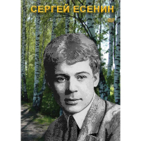 DVD Сергей Есенин - «globural.ru» - Краснокаменск