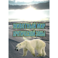 DVD Животный мир Арктической зоны - «globural.ru» - Краснокаменск