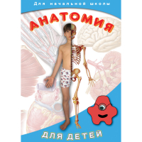 DVD  Анатомия для детей - «globural.ru» - Краснокаменск