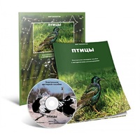 Электронное наглядное пособие «Птицы» - «globural.ru» - Краснокаменск