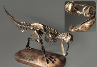 Модель скелета динозавра Tyrannosaurus - «globural.ru» - Краснокаменск