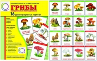 Демонстрационные карточки  "Грибы съедобные и не съедобные" - «globural.ru» - Краснокаменск