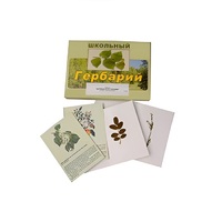 Гербарий "Деревья и кустарники" (22 вида, с иллюстрациями) - «globural.ru» - Краснокаменск