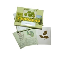 Гербарий "Дикорастущие растения" (30 видов, с иллюстрациями) - «globural.ru» - Краснокаменск