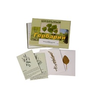 Гербарий "Лекарственные растения" (22 вида, с иллюстрациями) - «globural.ru» - Краснокаменск