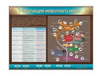 Интерактивный электрифицированный стенд "Эволюция животного мира" - «globural.ru» - Краснокаменск