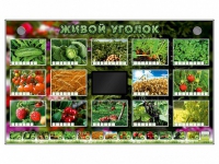 Комплект оборудования "Живой уголок" (растения) - «globural.ru» - Краснокаменск