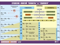 Таблица демонстрационная "Сравнение понятий изомер и гомолог" (винил 100х140) - «globural.ru» - Краснокаменск