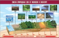 Таблица демонстрационная "Смена природных зон от полюсов к экватору" (винил 70x100) - «globural.ru» - Краснокаменск