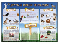 Стенд-уголок "Друзья наши меньшие" - «globural.ru» - Краснокаменск