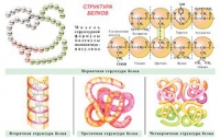 Плакаты и таблицы по общей химии - «globural.ru» - Краснокаменск