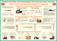  Таблица Общий порядок оказания первой помощи пострадавшим 1000*1400 винил	 - «globural.ru» - Краснокаменск