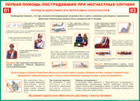 Таблица Порядок действий при переломах конечностей 1000*1400 винил - «globural.ru» - Краснокаменск