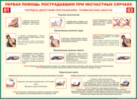 Таблица Порядок действий при ранениях и термических ожогах	 1000*1400 винил - «globural.ru» - Краснокаменск