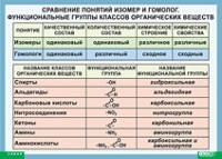 Химия. Сравнение понятий изомер и гомолог. Функциональные группы классов органических веществ (винил) - «globural.ru» - Краснокаменск