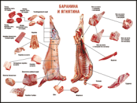 Правила разделки мясных туш "Баранина и ягнятина" 1000*1400 винил - «globural.ru» - Краснокаменск