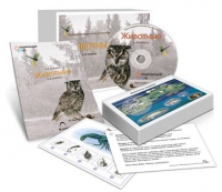Комбинированное наглядное пособие «Животные» - «globural.ru» - Краснокаменск