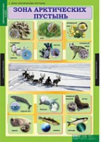 Окружающий мир 4 класс (комплект таблиц) - «globural.ru» - Краснокаменск