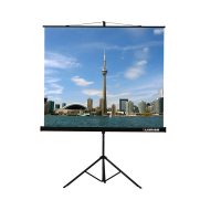 Проекционный экран на штативе Lumien Eco View (LEV-100105) 160x160 см - «globural.ru» - Краснокаменск