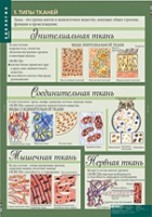 Биология 8-9 класс. Человек. (комплект таблиц) - «globural.ru» - Краснокаменск