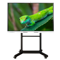 Интерактивный комплекс Geckotouch ​​​​​​​65RK - «globural.ru» - Краснокаменск