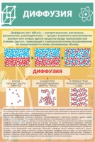 Стенд "Диффузия" - «globural.ru» - Краснокаменск