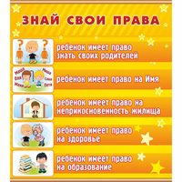 Стенд "Знай свои права" - «globural.ru» - Краснокаменск