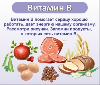 Стенд "Витамин В" - «globural.ru» - Краснокаменск