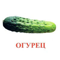 Карточки Домана "Овощи-Зелень-1" - «globural.ru» - Краснокаменск